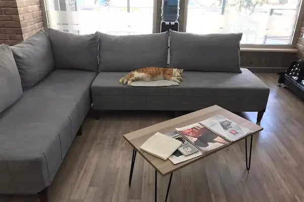 ANiPOL VETERİNER KLİNİĞİ DENİZLİ - Resim 16