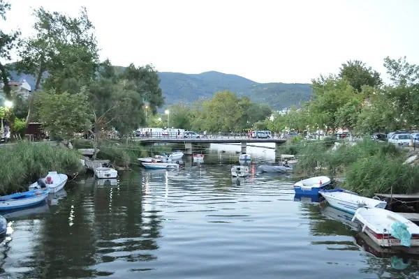 Altınoluk Sahil - Resim 12