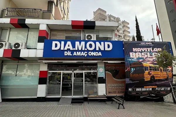 Diamond Yabancı Dil Kursu - Resim 19