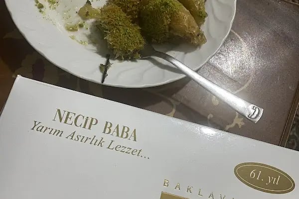 Necip Baba - Resim 7