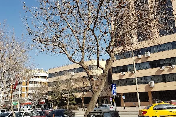 Konya Vergi Dairesi Başkanlığı - Resim 13