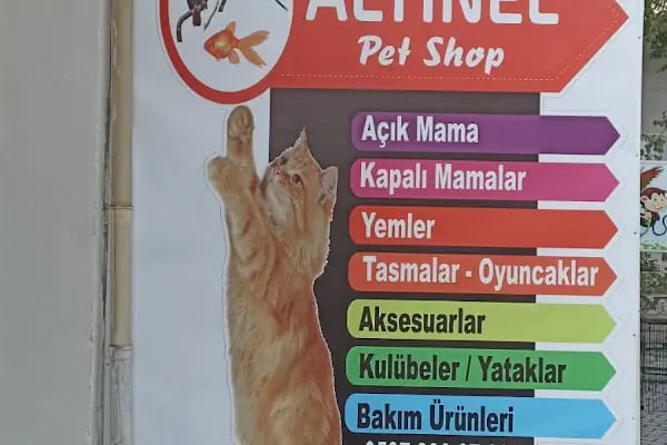 Altınel Petshop - Resim 2
