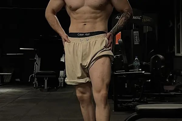 Hulk Gym Premium - Resim 4