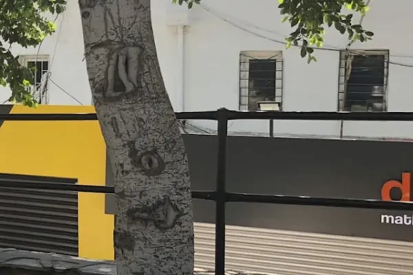 Nova Reklam Bodrum - Resim 17