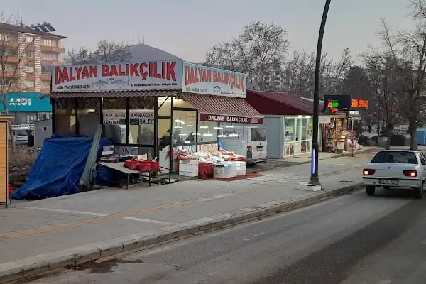 Dalyan Balıkçılık Afşin - Resim 2
