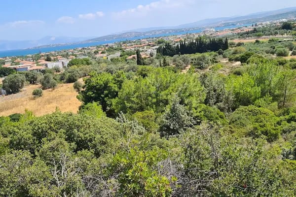 Mamur Baba Türbesi - Resim 14