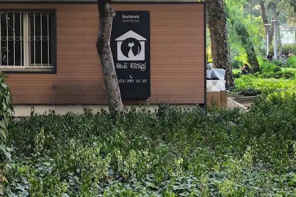 Bornova Belediyesi Kedi Kliniği - Resim 2