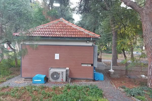 Bornova Belediyesi Kedi Kliniği - Resim 10