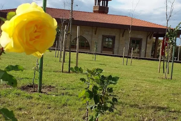 Karaosmanoğlu Hafız Muharrem Camii - Resim 13