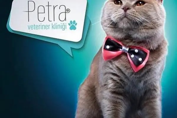 PETRA VETERİNER KLİNİĞİ - Resim 20