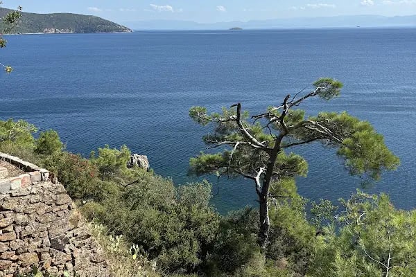 Terki Dünya Manastırı - Resim 4