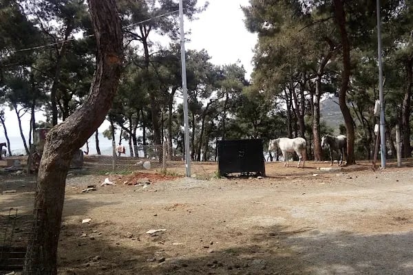 Terki Dünya Manastırı - Resim 13