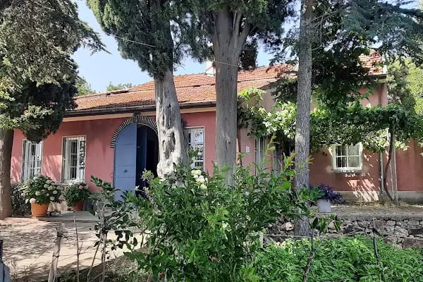Terki Dünya Manastırı - Resim 3