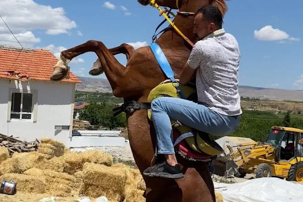 Gün batımı binicilik kulübü - Resim 17