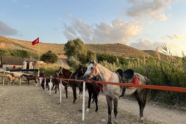 Gün batımı binicilik kulübü - Resim 13