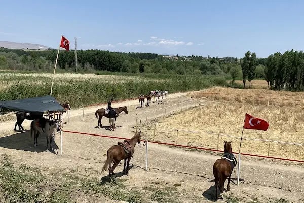 Gün batımı binicilik kulübü - Resim 8