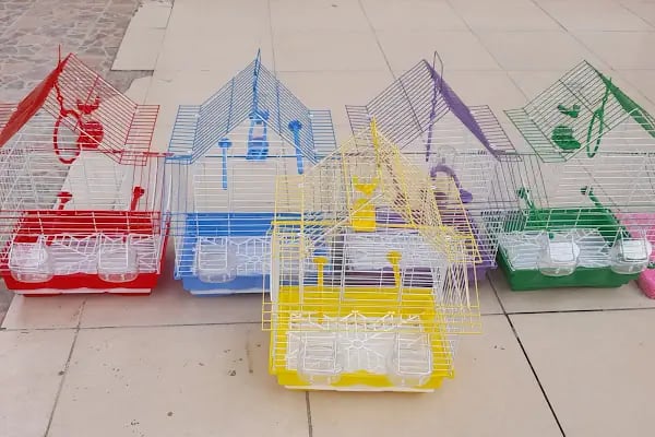 Oscar Pet market - Resim 6