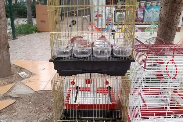 Oscar Pet market - Resim 3
