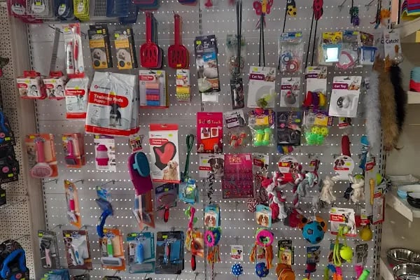 Oscar Pet market - Resim 2