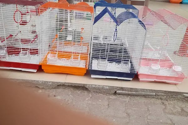 Oscar Pet market - Resim 9