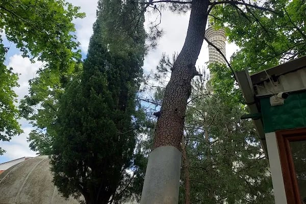 Gökçay Cami - Resim 3