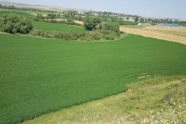 Akyaka Piknik Alanı - Resim 4