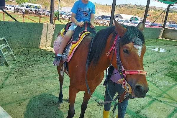Denizli Atlı Spor Kulübü - Kır Düğün Salonu - Serpme Kahvaltı - At Çiftliği - Binicilik - Resim 5