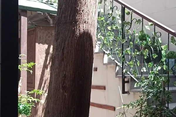 Kurtuluş Konağı Butik Otel - Resim 17