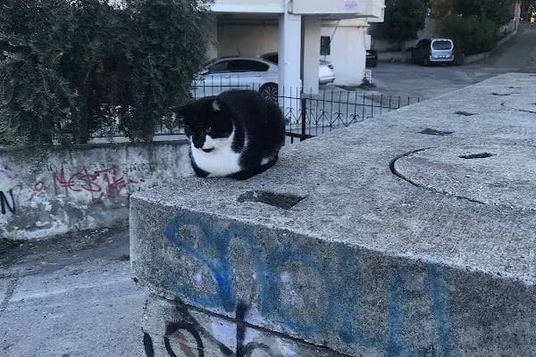 Huzurevleri Parkı - Resim 5