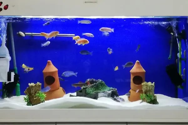 Garden Park Dügün Salonu - Resim 20