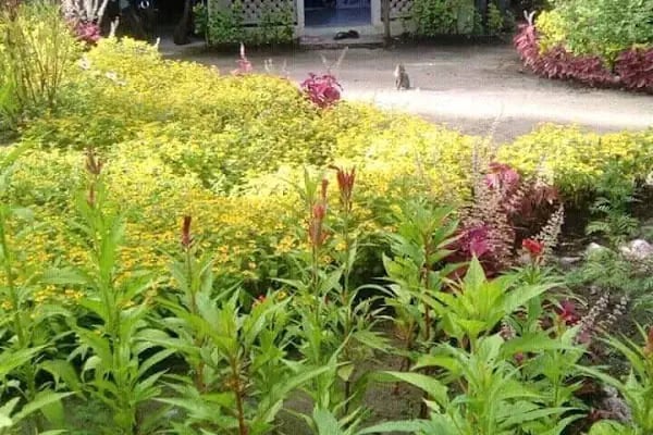Garden Park Dügün Salonu - Resim 18