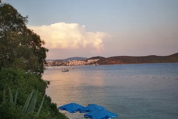 Aktur İnceburun plajı - Resim 13
