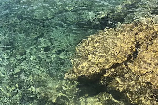 Aktur İnceburun plajı - Resim 18