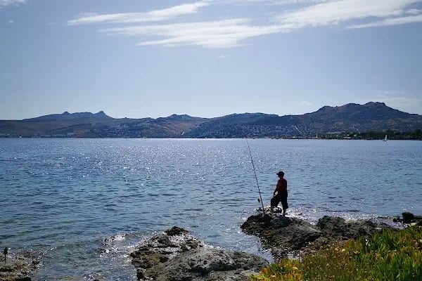 Aktur İnceburun plajı - Resim 19