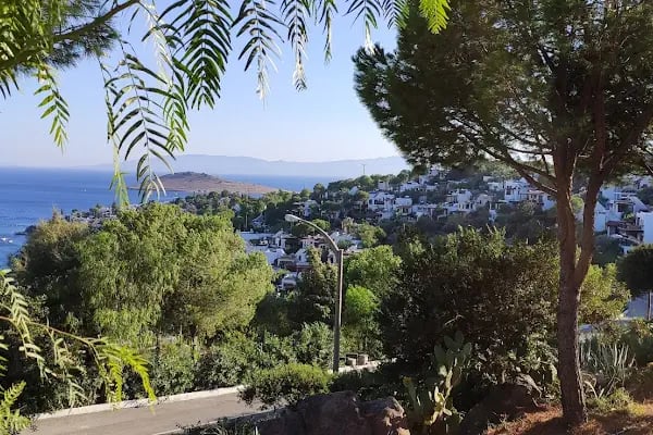 Aktur İnceburun plajı - Resim 20
