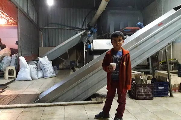 ALANYA ZEYTİNYAĞI FABRİKASI - Resim 18