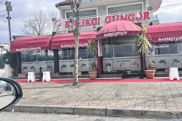 Balıkçı Güngör - Başiskele - Resim 5