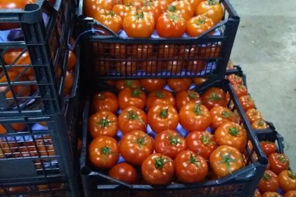 Konaklı toptancı hali - Resim 13