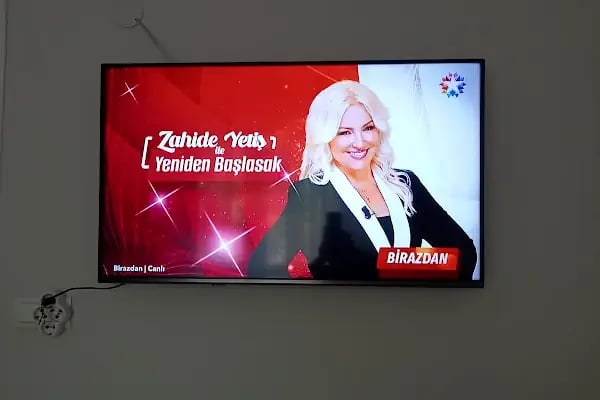 Vestel Yetkili Servisi - Adapazarı - Dilsizoğlu Teknik - Resim 5