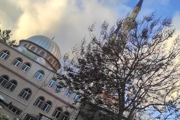 Zeytintepe Camii - Resim 15