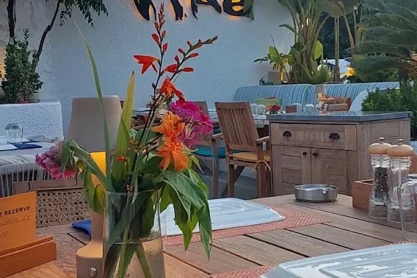 Tike Bodrum - Resim 2