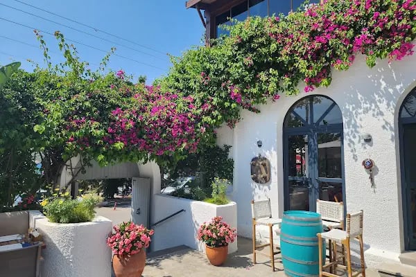 Tike Bodrum - Resim 9