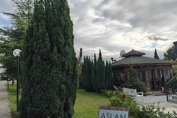 ASLAN GARDEN AİRPORT HOTEL - Resim 12