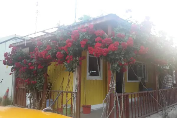 Karapürçek Taksi - Resim 16