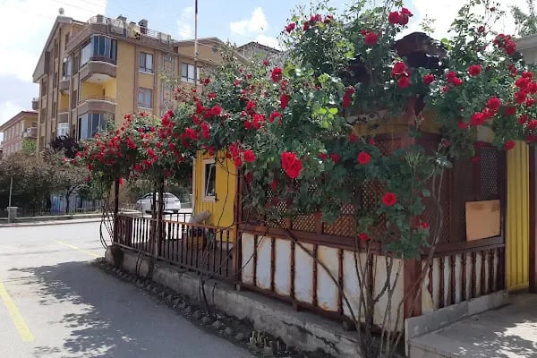 Karapürçek Taksi - Resim 13