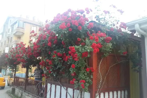 Karapürçek Taksi - Resim 11