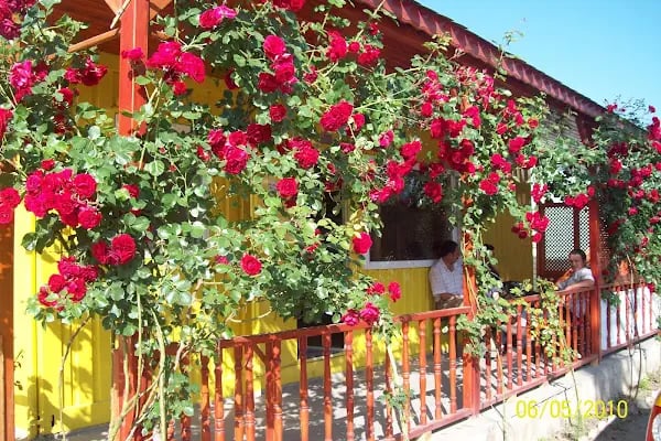Karapürçek Taksi - Resim 15