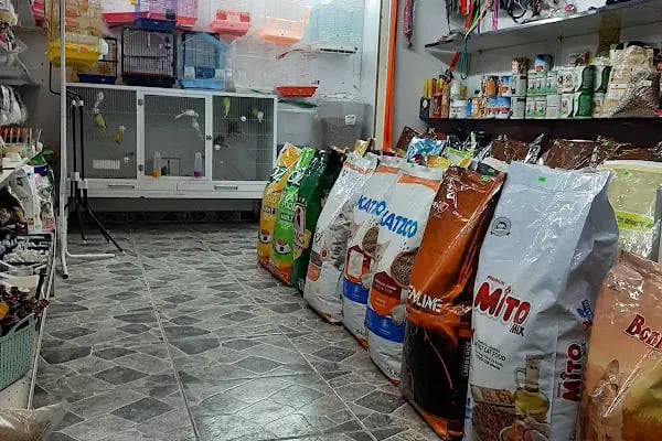 Alaşehir Çağdaş Petshop - Resim 10