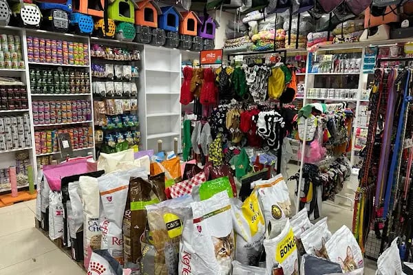 Alaşehir Çağdaş Petshop - Resim 12