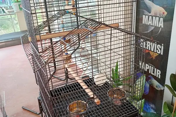 Alaşehir Çağdaş Petshop - Resim 19